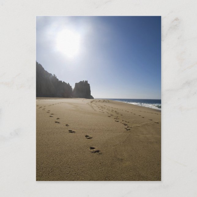 Cabo San Lucas beach 3 Postcard (Front)