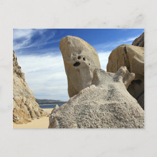 Cabo San Lucas Mexico Postcard