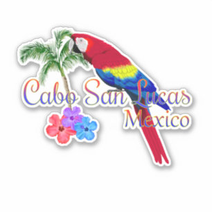 Cabo San Lucas Tropical Beach