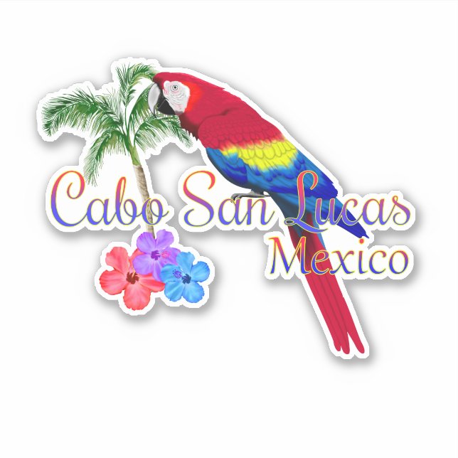 Cabo San Lucas Tropical Beach (Front)