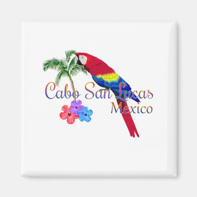 Cabo San Lucas Tropical Beach Magnet (Front)