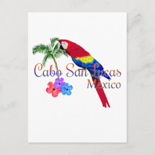 Cabo San Lucas Tropical Beach Postcard
