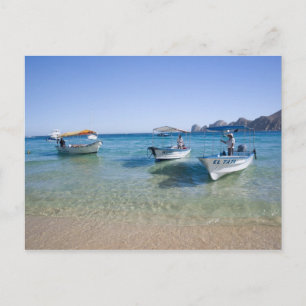 Cabo Water Taxis Postcard