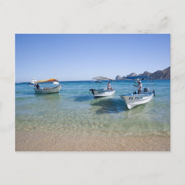 Cabo Water Taxis Postcard (Front)