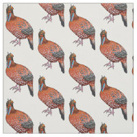 Cabot's tragopan bird cartoon illustration