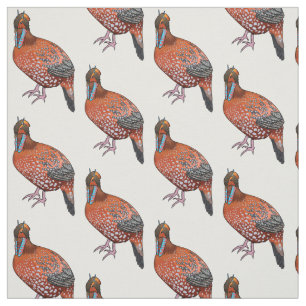 Cabot's tragopan bird cartoon illustration fabric
