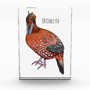 Cabot's tragopan bird cartoon illustration photo block