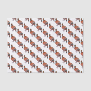 Cabot's tragopan bird cartoon illustration  tissue paper