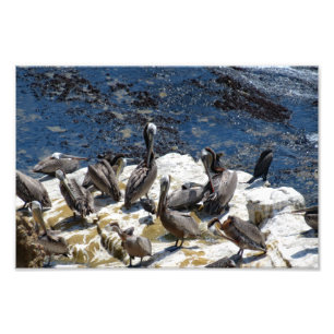 Cabrillo National Monument Photo Print