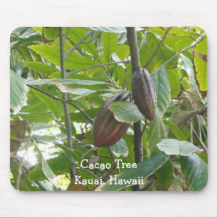 Cacao Tree, Kauai, Hawaii Mouse Mat