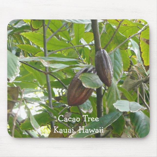 Cacao Tree, Kauai, Hawaii Mouse Mat (Front)