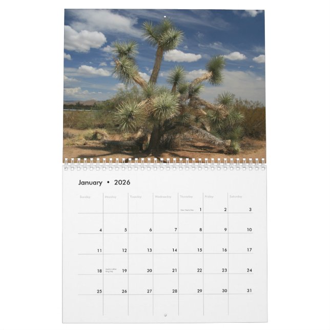 Cacti 2013 calendar (Jan 2026)
