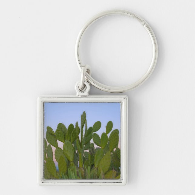 Cacti and sisal in Dry Forest Key Ring (Front)