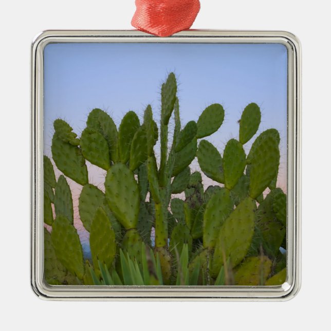 Cacti and sisal in Dry Forest Metal Tree Decoration (Front)