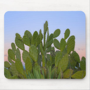 Cacti and sisal in Dry Forest Mouse Mat