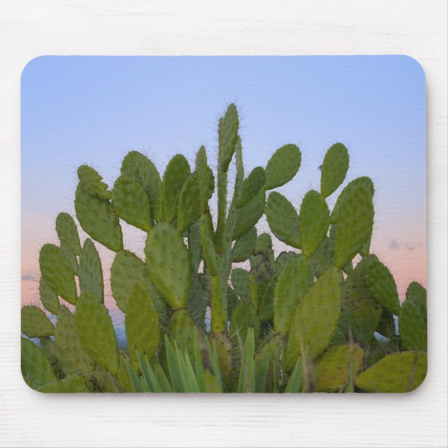 Cacti and sisal in Dry Forest Mouse Mat (Front)