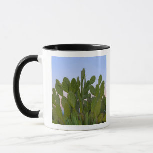 Cacti and sisal in Dry Forest Mug