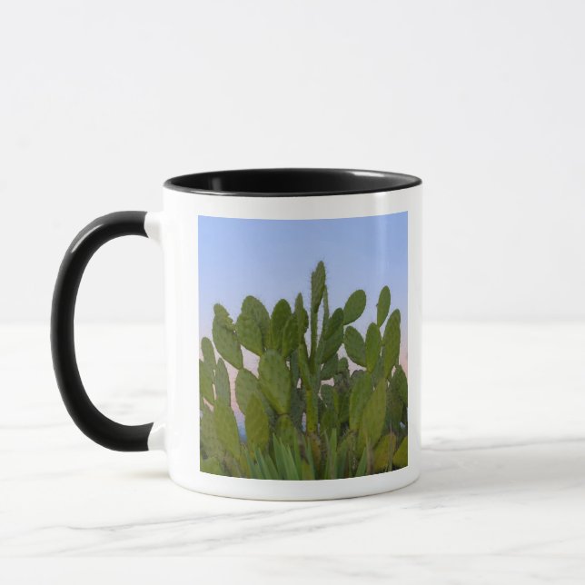 Cacti and sisal in Dry Forest Mug (Left)