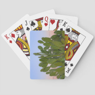 Cacti and sisal in Dry Forest Playing Cards