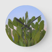Cacti and sisal in Dry Forest