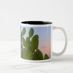 Cacti and sisal in Dry Forest Two-Tone Coffee Mug