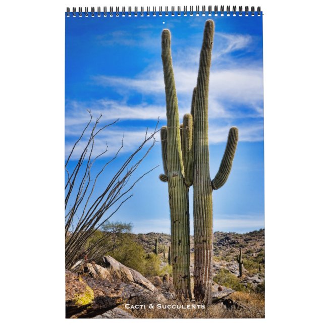Cacti and Succulents Calendar (Cover)