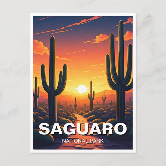 Cacti at Saguaro National Park Souvenir Postcard (Front)