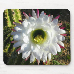Cacti Bloom Mouse Mat