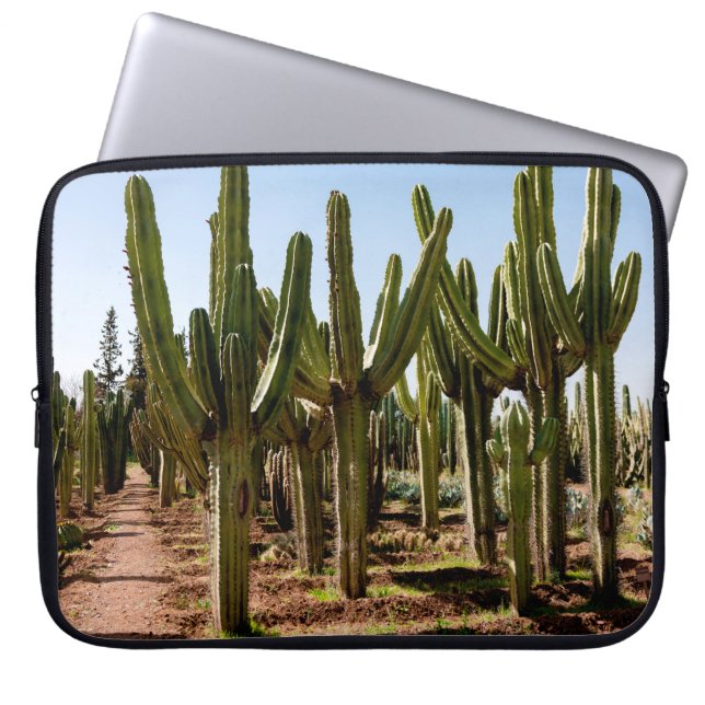 Cacti garden. Green tall cacti and succulents grow Laptop Sleeve (Front)
