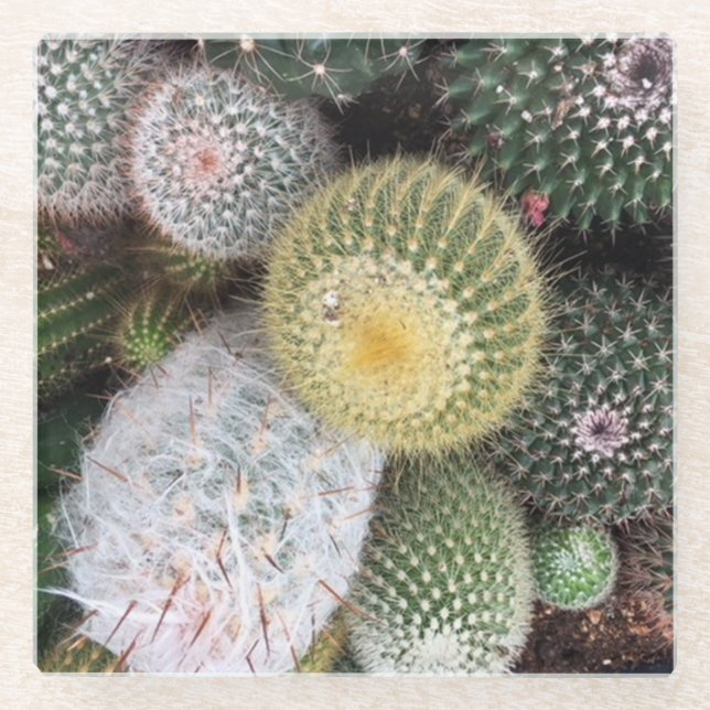 Cacti Glass Coasters (Front)