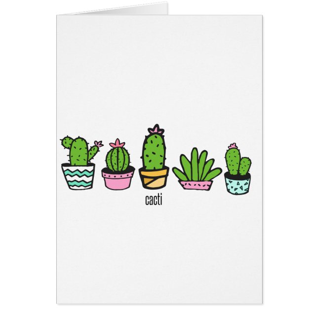 cacti grouping (Front)