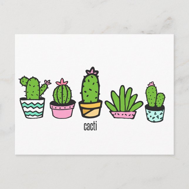 cacti grouping postcard (Front)