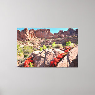 Cacti in Bloom Canvas Print