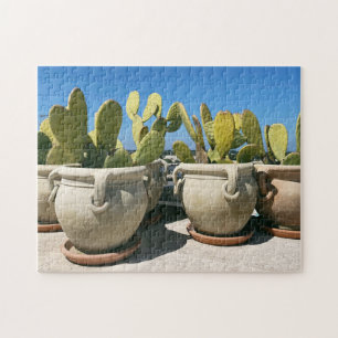 Cacti in Ceramic Pots in Puglia, Italy  Jigsaw Puzzle