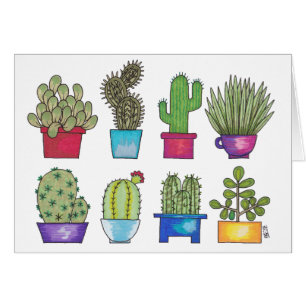 Cacti in Pots