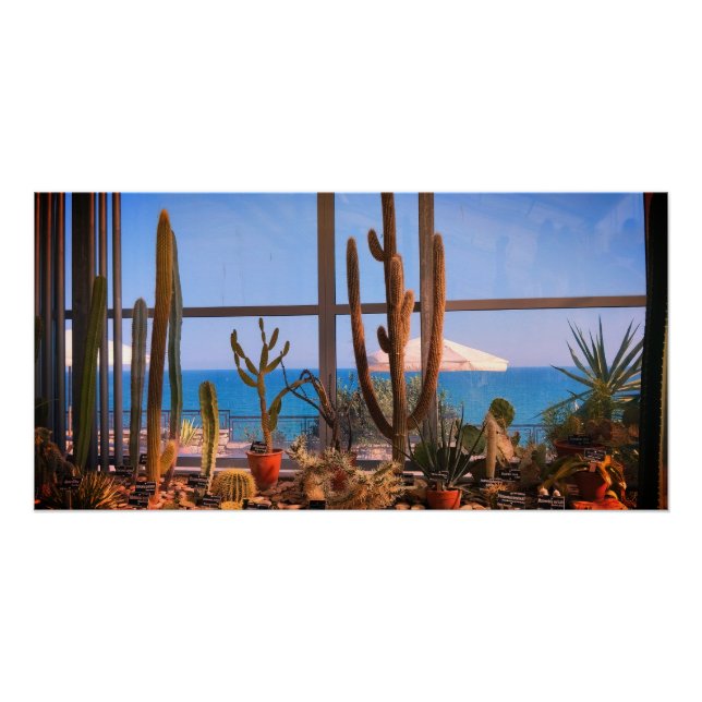 Cacti plants and sea poster (Front)