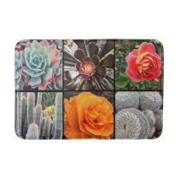 Cacti rose flowers photography collage modern bold
