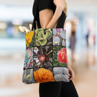 Cacti Rose Flowers Photography Collage Modern Bold