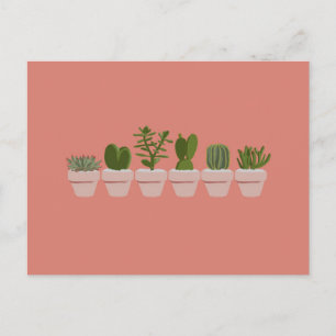 Cacti & Succulent - pink Postcard
