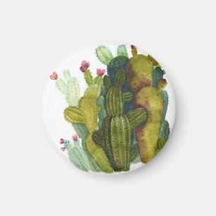Cacti, succulents: vintage watercolor. magnet