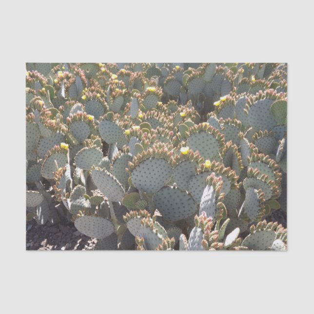 Cacti Tissue Paper (Front)