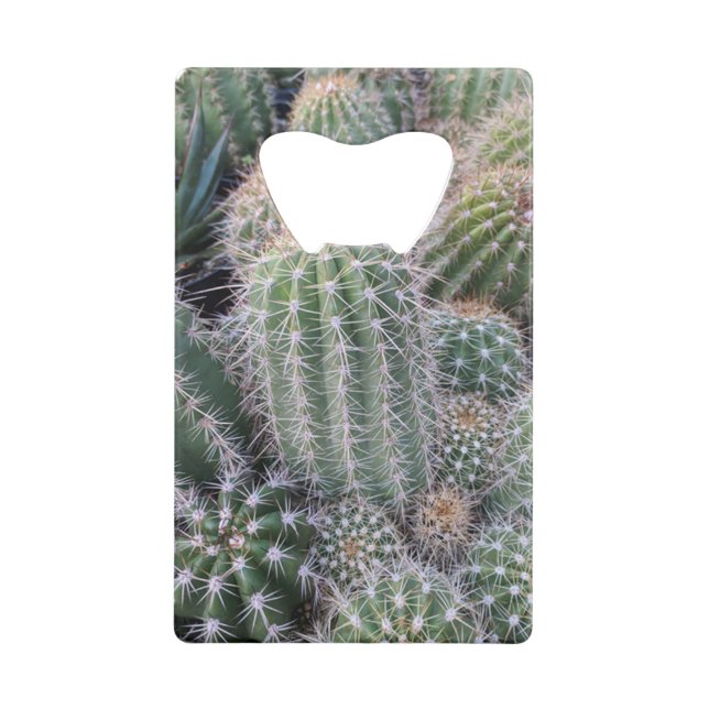 Cactus (Back)