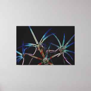 Cactus 1 60x40 (150x100cm) waccna canvas print