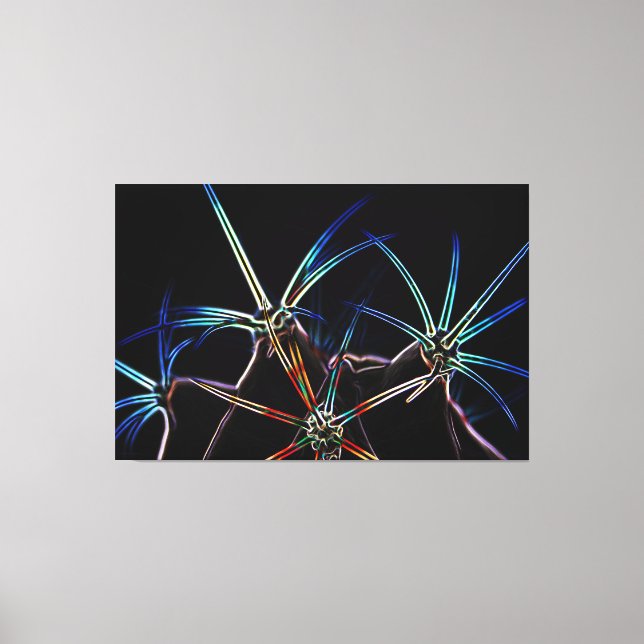 Cactus 1 60x40 (150x100cm) waccnm canvas print (Front)