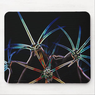 Cactus 1 mpcn mouse mat