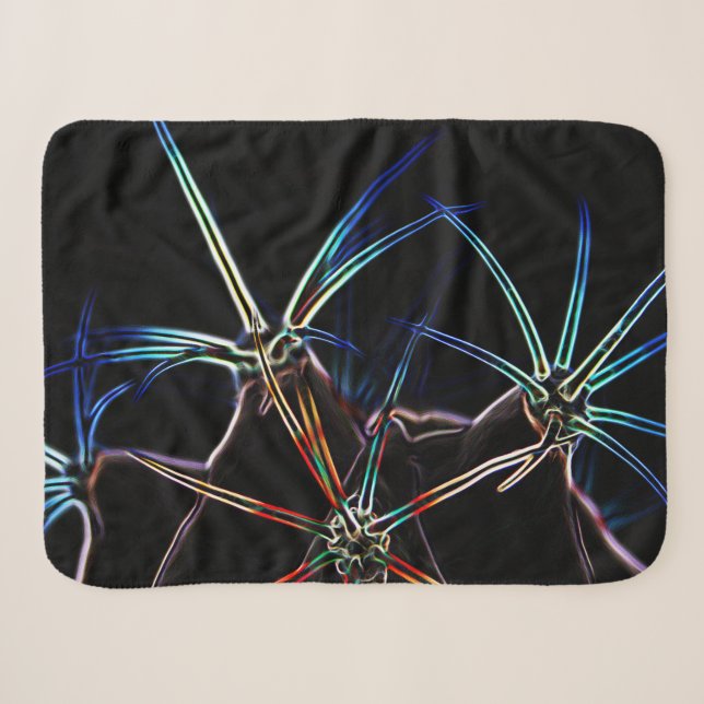 Cactus 1 sbcna sherpa blanket (Front (Horizontal))
