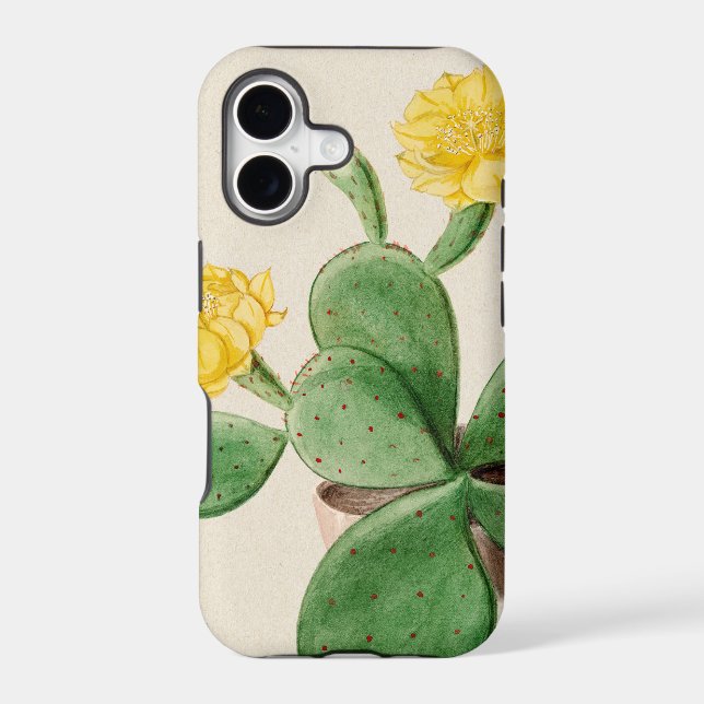 Cactus 2 (Back)