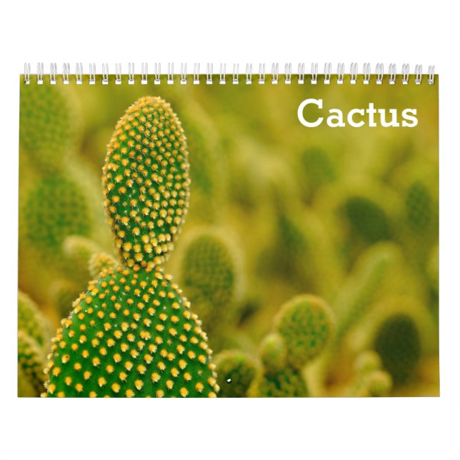 Cactus 2026 calendar (Cover)