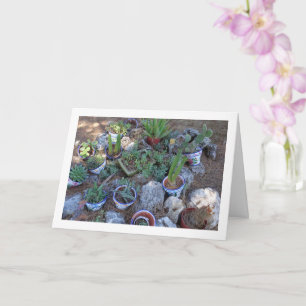 Cactus and Succulent Plant Rockery Card