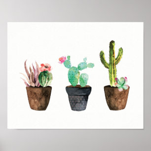 Cactus and Succulent Trio One Poster